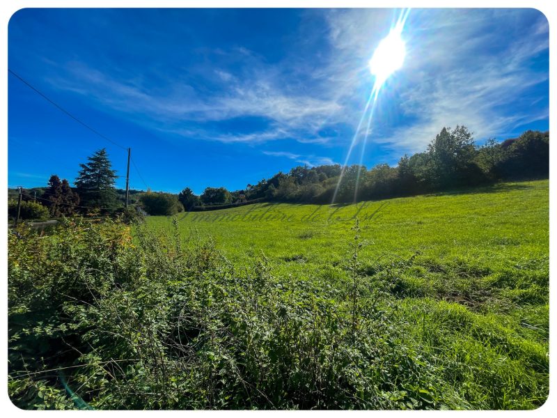 051b764beaef999ad552936b9eb82229