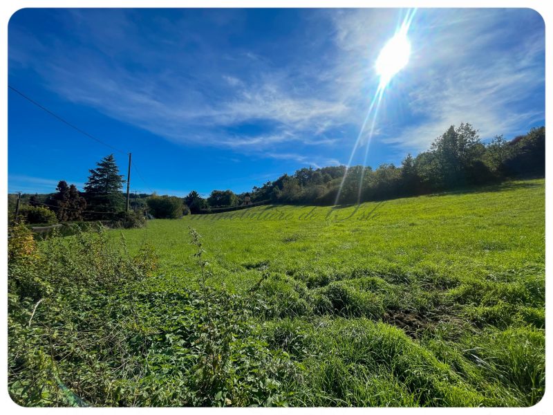 33f1de04a2016e63cce1fb44adfef517