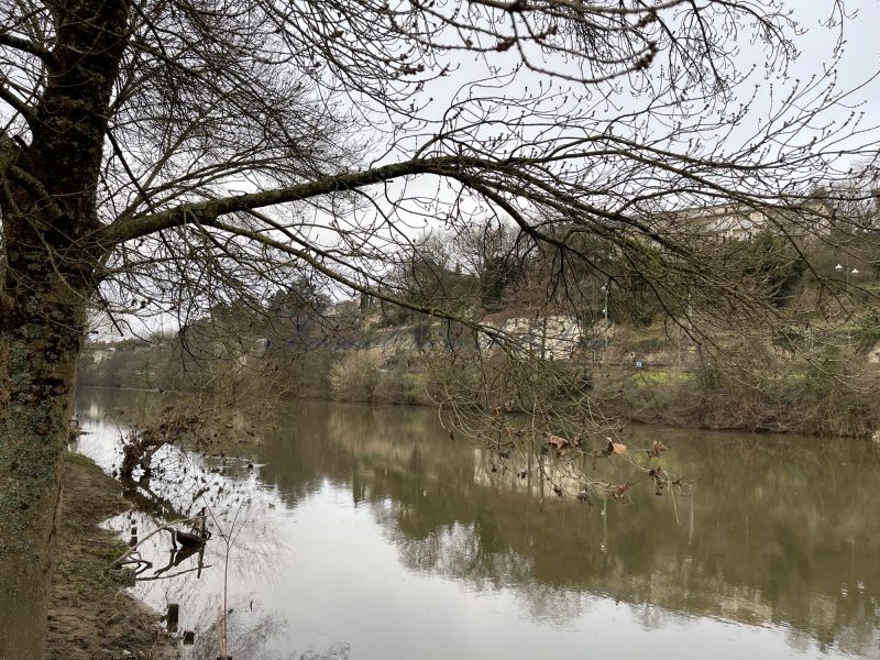 3a1a8f0ed0edfc238470a5a7ad0bd4cb