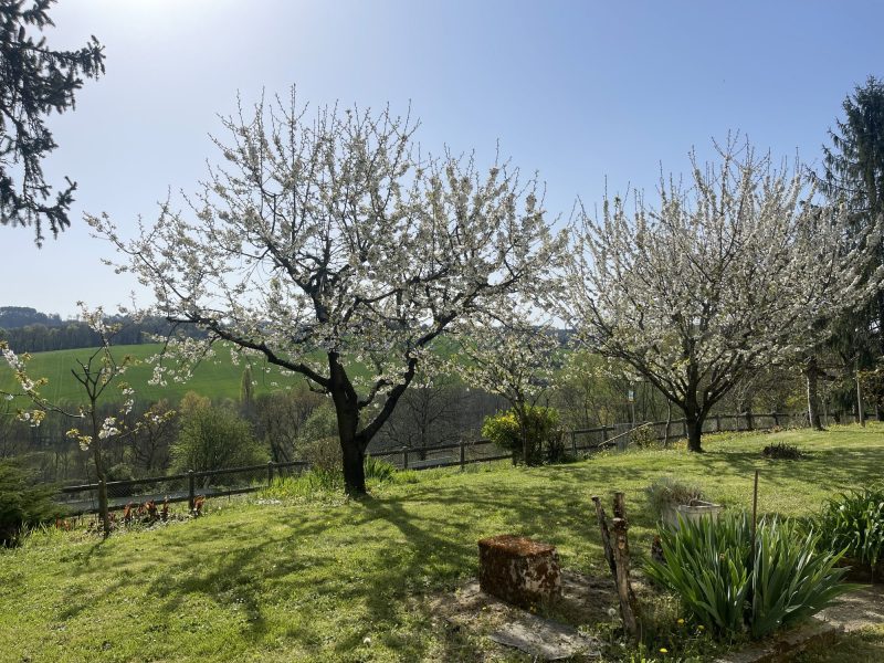 4eeb354119880a396e4bc25a6846eea3