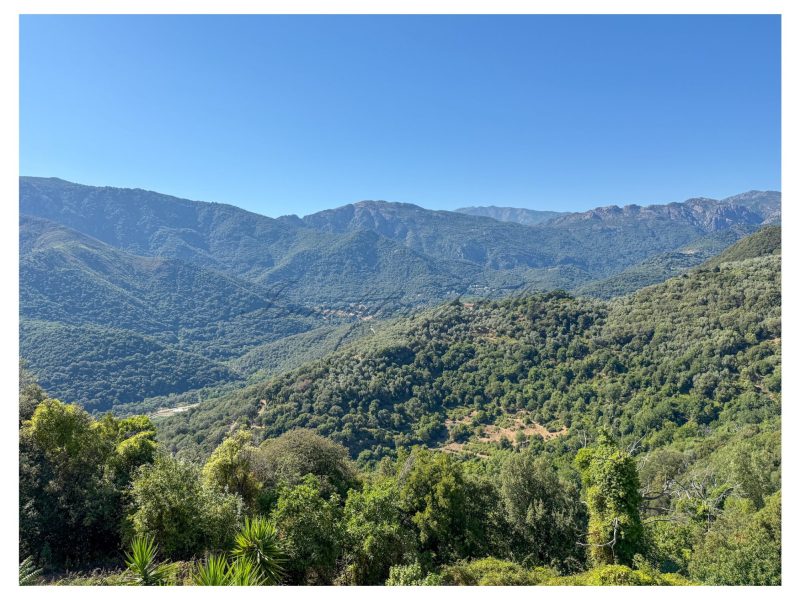 6dbdc51cbe1264e5d7eec74f21e648ad