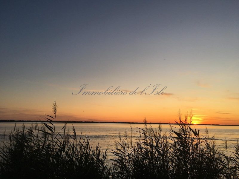 712bcec5a32a14ce6c8ea32b8d947482