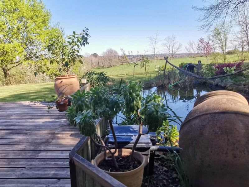 7326ac3eb718e198ec08e9e2a89ea953