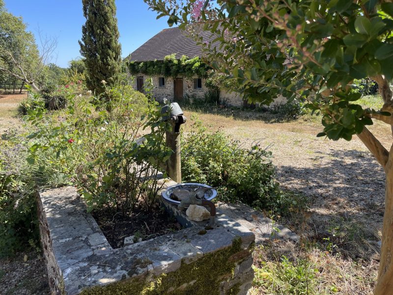 81a8277ec55b8338fe25398ffdfaac33