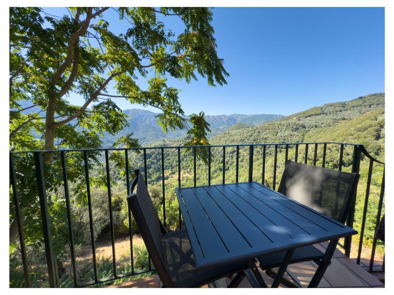 84705c9cec0b538593bc1659380551c4