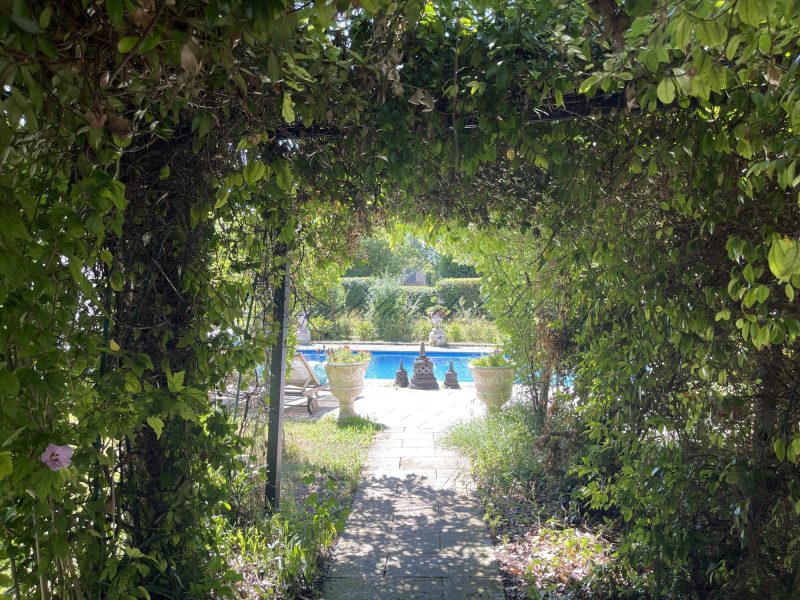 851b82ffc693251b8bf6b332998c1580