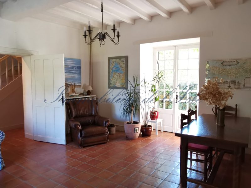 a34e13b1cc15aa70c7b53bd195c8136e