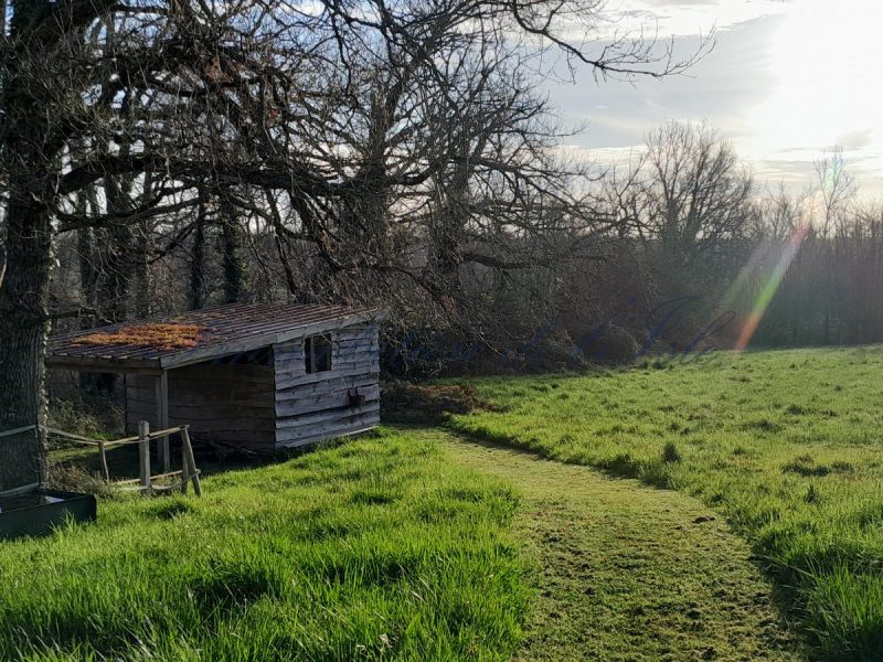 aa0b5db9fdefb2df867f707de60ac5ee