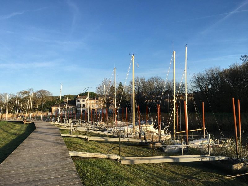 cb51e06b040051a5474dad91a5230a23