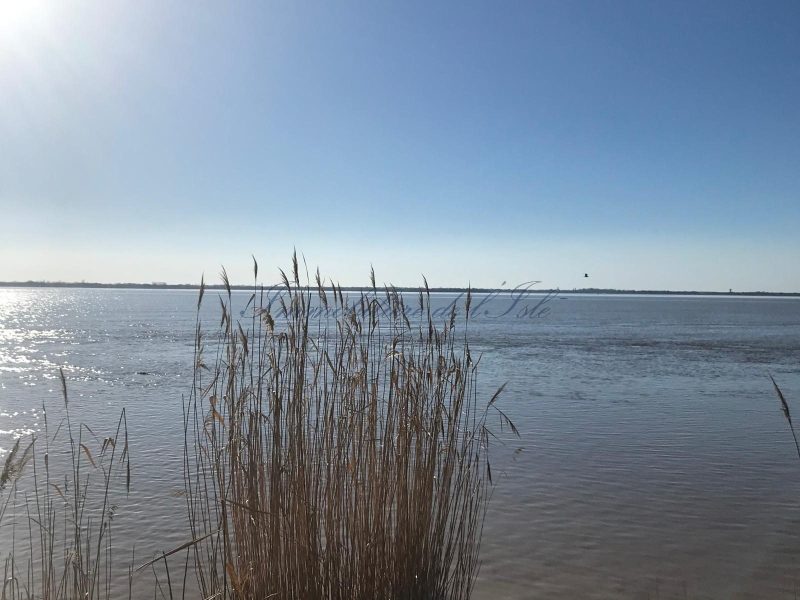 ebc1a49b2e67a407cedd6620bae29445