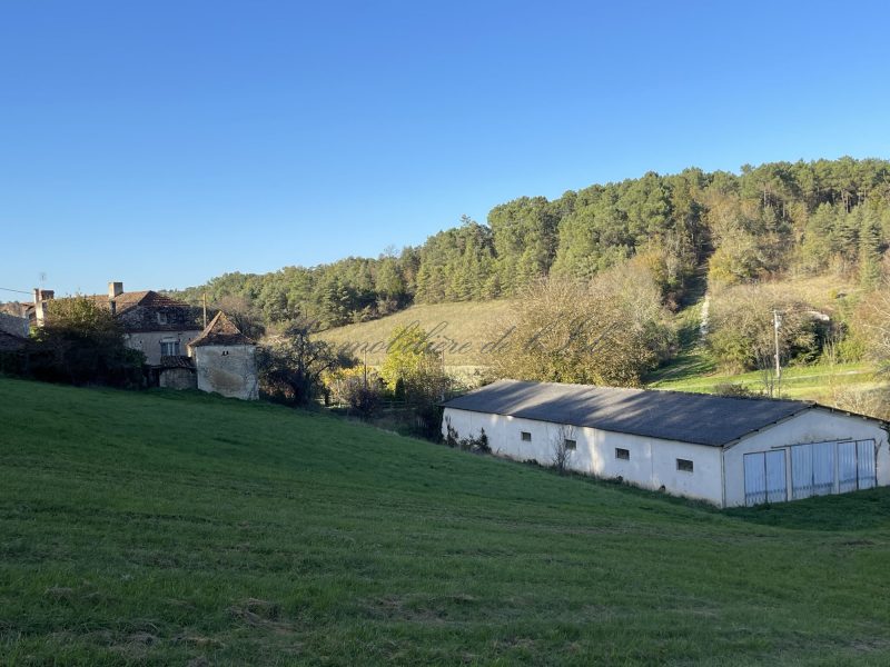 fbb96a8f77f90df28f759ddef0a38e47