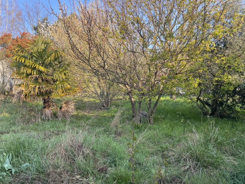 photo_039699782c6c46be6d9a61d43ea73027