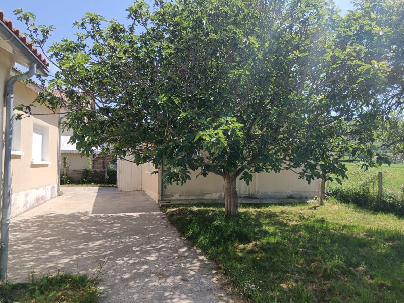 photo_33481071954c2f930f731ca9916b0955