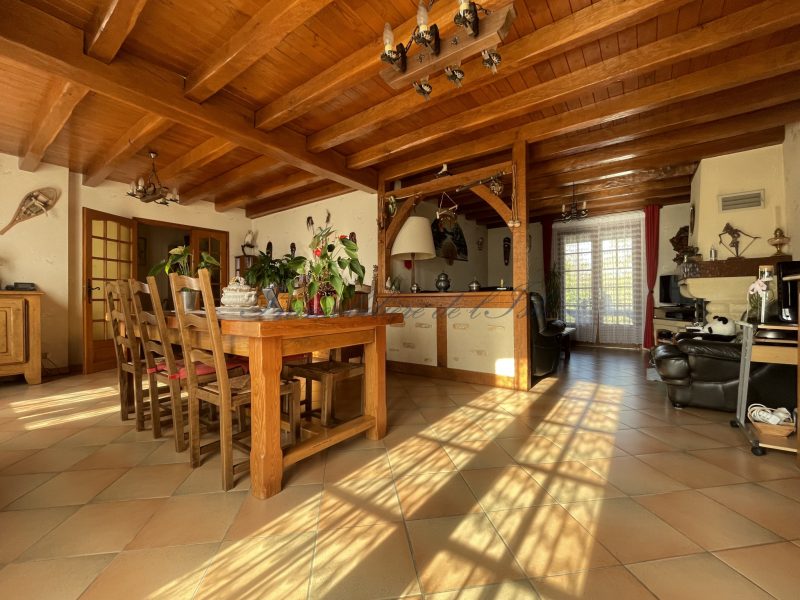 photo_81da961c74ab82c3dbcfad0589924610