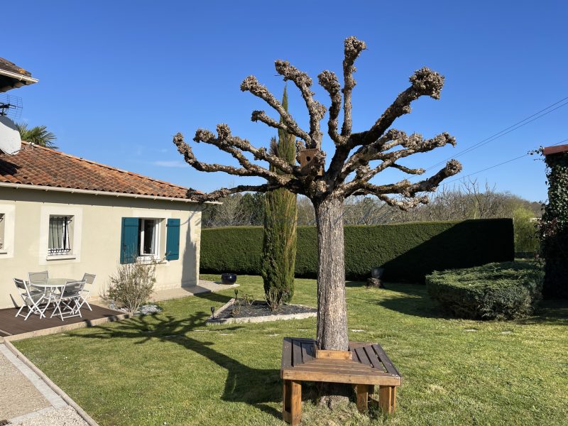 photo_835688438f0310e8d1bf4d8eb3334252