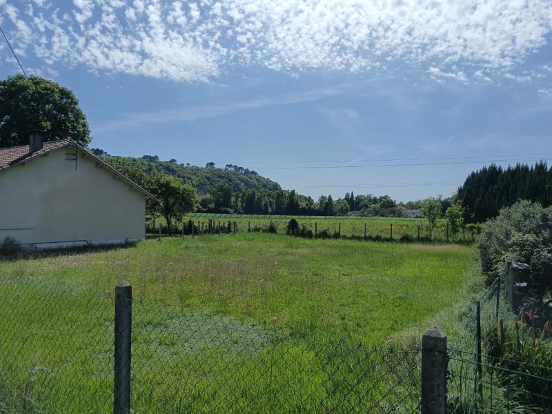 photo_a37a93f2e683a044cf1afee750d827b0