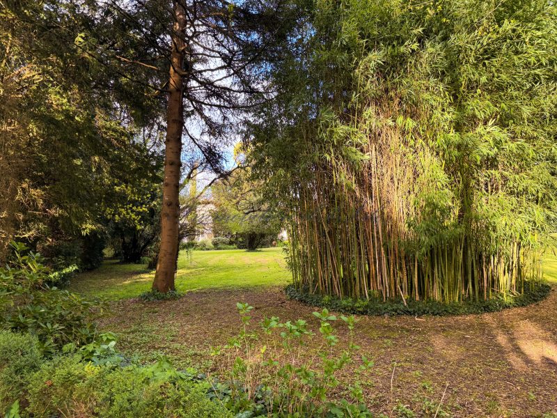 photo_ab88e2bf05e6922ee01e2ead5b20f333