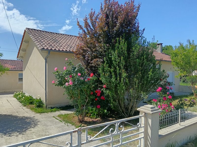 photo_b325135ccf9095a1bf0ee312e9e43fbd