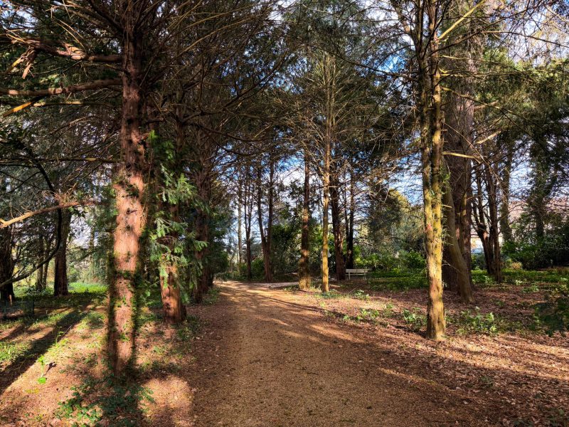 photo_b797ffea2570a22aa79d966215876d93