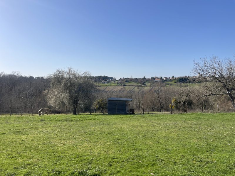 photo_c2d1cf3cc53e62331abf55f536cc345d