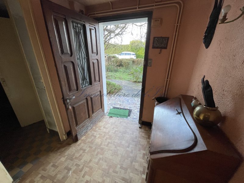 photo_e3b625210a333780336e021e3ff67b95