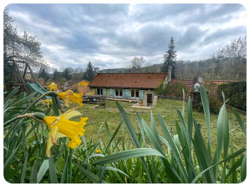 photo_e8509efc2867681513032152cbbc365b