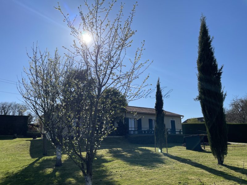 photo_f0a6800abe70b9a65c40e9135f0a2123