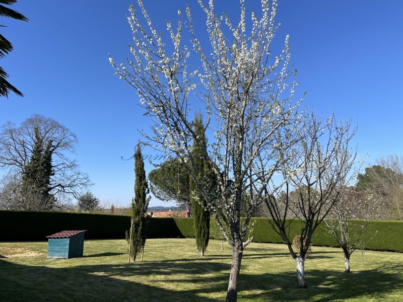 photo_fa21b89b244afd3b9f5db3b03de28eda